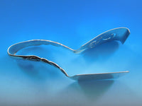 Ailanthus by Tiffany and Co Sterling Silver Asparagus Serving Tong Pierced BC