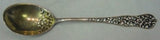 Rococo by Dominick and Haff Sterling Silver Ice Cream Spoon GW w/flowers 5 5/8"