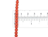 Genuine Natural Ox Blood Red Coral Bead Necklace Beads with 14k Clasp (#J7575)