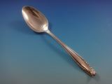 Stradivari by Wallace Sterling Silver Flatware Set For 8 Service 44 Pieces