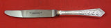 Celtic by Newbridge Sterling Silver Luncheon Knife modern 8 1/2"