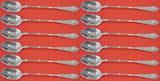 Richelieu by International Sterling Silver Iced Tea Spoon Set 12 pcs 7 3/8"