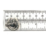 Sterling Horse Pin with Horseshoe (#J5378)