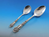 French Renaissance by Reed & Barton Sterling Silver Flatware Service 59 pcs Rare