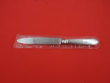 Belvedere by Robbe and Berking Sterling Silver Dinner Knife pointed new 9 1/2"