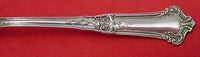 Albemarle by Gorham Sterling Silver Preserve Spoon Gold Washed 7 1/4"