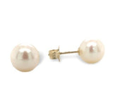 14k Yellow Gold 7.3mm Creamy White Cultured Pearl Stud Earrings (#J7055)