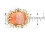 Gold Filled Genuine Natural Shell Cameo Brooch Pin Jewelry (#J7533)
