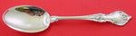 Alexandra by Lunt Sterling Silver Serving Spoon 8 1/4"