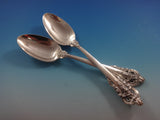 Grande Baroque By Wallace Sterling Silver Flatware For 24 Set 100 Pieces