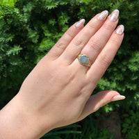 14k Yellow Gold Men's Signet Ring w/ Fancy Scrollwork Size 8.75 Jewelry (#J6791)