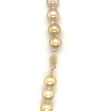 14k Yellow Gold Golden South Sea Pearl 9-10mm Strand Necklace 18.5" (#J7031)