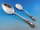 Royal Dynasty by Stieff Sterling Silver Flatware Set for 8 Service 45 pcs