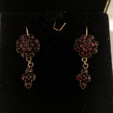 Genuine Natural Bohemian Garnet Drop Dangle Earrings w/ 14k Gold Wires (#J6480)