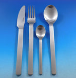 Neo Country by Carl Mertens Stainless Steel Flatware set 24 pcs w/ Caddy Modern