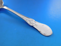 Dew Drop by Shiebler Sterling Silver Cracker Scoop BC Flowers in scoop 9 1/2"