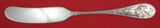 Audubon by Tiffany and Co Sterling Silver Butter Spreader Flat Handle 6"
