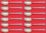 San Lorenzo by Tiffany and Co Sterling Silver Teaspoon Set 12 pcs 6"
