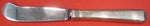 Craftsman by Towle Sterling Silver Butter Spreader Paddle Hollow Handle 5 5/8"