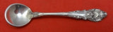 Sir Christopher by Wallace Sterling Silver Salt Spoon 2 3/8"