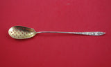 Vine by Tiffany Sterling Silver Olive Spoon Long 8 1/8 GW Squash IN TIFFANY BOOK
