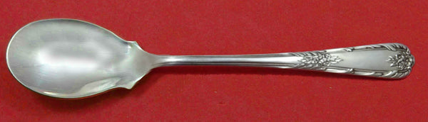 Splendor by International Sterling Silver Ice Cream Spoon Custom Made 5 3/4"
