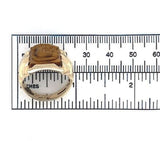 10k Gold Genuine Natural Tiger's Eye Men's Double Warrior Cameo Ring (#J6221)