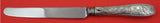 Audubon by Tiffany and Co Sterling Silver Dinner Knife French 10 1/8" Flatware