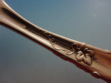 Vine by Tiffany and Co Sterling Silver Berry Spoon Arc Shape w/Grapes 9"