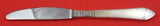 Continental by Georg Jensen Sterling Silver Dinner Knife Long Handle 8 3/4"