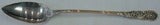 Trajan by Reed & Barton Sterling Silver Stuffing Spoon All Sterling 14 1/2"