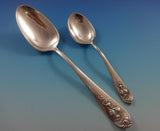 Pendant of Fruit by Lunt Sterling Silver Flatware Set For 12 Service 65 Pieces