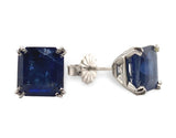 Platinum 4.05 Carat TW Blue Genuine Natural Sapphire Stud Earrings (#J7518)