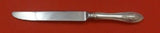 Mount Vernon By Lunt Sterling Silver Dinner Knife French Stainless 9 3/8"