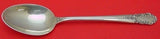Bridal Veil by International Sterling Silver Serving Spoon 8 1/2" Vintage