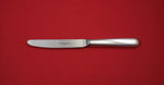 Dante by Robbe and Berking German Sterling Silver Dinner Knife Modern 9 1/2"