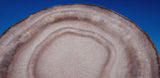 Alexandra Agudelo Columbian Sterling Silver Serving Bowl Lavender Coating #9010