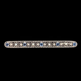 14k White Gold Filigree Pin with GIA Montana Sapphires and Seed Pearls (#J6596)