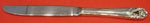Spring Glory by International Sterling Silver Regular Knife Modern 9 1/4"