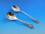 Monticello by Lunt Sterling Silver Flatware Set For 12 Service 144 Pieces Dinner