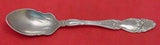 Cloeta by International Sterling Silver Ice Cream Spoon Narrow Bowl 5 5/8"