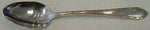 Wild Flower by Royal Crest Sterling Silver Teaspoon 6" Flatware