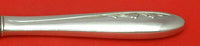 Spring Serenade by Lunt Sterling Silver Ham Slice HH WS 11 1/2" Custom Made