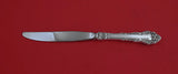 Grande Renaissance by Reed and Barton Sterling Dinner Knife modern unused 9 3/4"