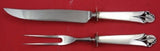 Woodlily by Frank Smith Sterling Silver Steak Carving Set 2-Piece Knife & Fork