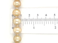 14k Yellow Gold Golden South Sea Pearl 9-10mm Strand Necklace 18.5" (#J7031)