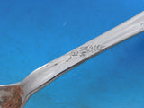 Lap Over Edge Acid Etched Tiffany Sterling Spade Server Bleeding Heart 10 3/8"