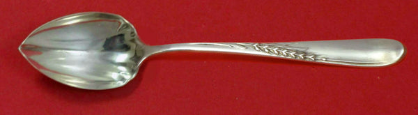 Silver Wheat by Reed and Barton Sterling Silver Grapefruit Spoon Fluted Custom
