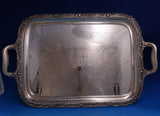 Chrysanthemum by Tiffany and Co Sterling Silver Tea Tray #6682-4938 (#0187)