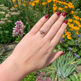 10k Rose Gold Two-Stone Genuine Natural Victorian Moonstone Ring (#J6927)